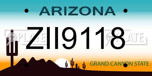 ZII9118 Arizona License Plate