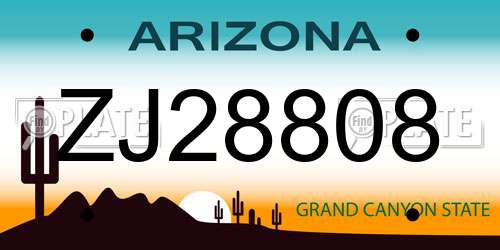 ZJ28808 Arizona License Plate