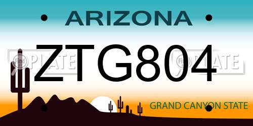 ZTG804 Arizona License Plate