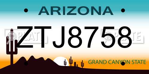 ZTJ8758 Arizona License Plate