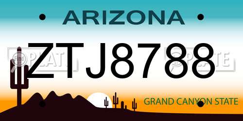 ZTJ8788 Arizona License Plate