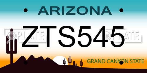 ZTS545 Arizona License Plate