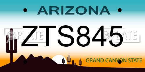 ZTS845 Arizona License Plate
