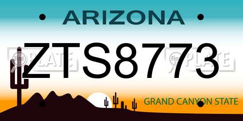 ZTS8773 Arizona License Plate