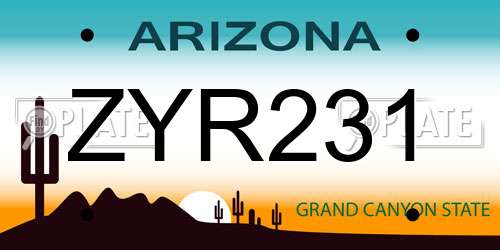 ZYR231 Arizona License Plate