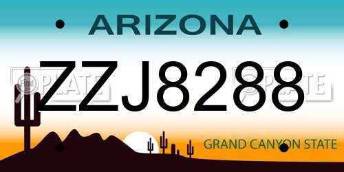 ZZJ8288 Arizona License Plate
