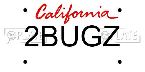2BUGZ California License Plate