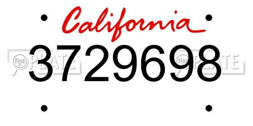 3729698 California License Plate