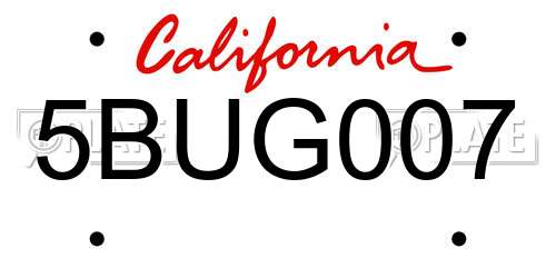 5BUG007 California License Plate