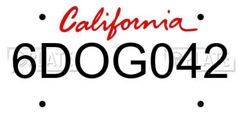 6DOG042 California License Plate