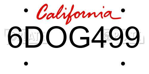 6DOG499 California License Plate
