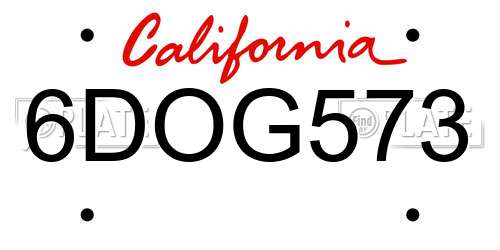 6DOG573 California License Plate
