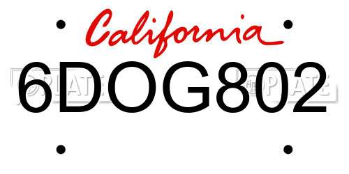6DOG802 California License Plate