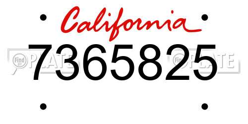 7365825 California License Plate