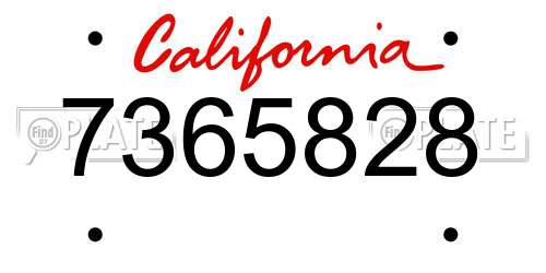 7365828 California License Plate