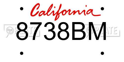 8738BM California License Plate