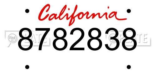 8782838 California License Plate