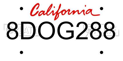 8DOG288 California License Plate
