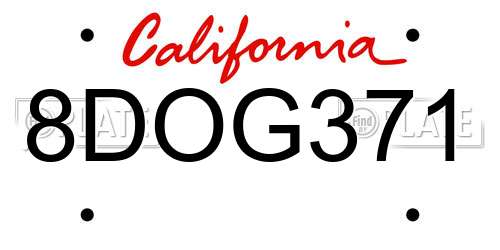 8DOG371 California License Plate