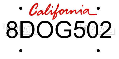 8DOG502 California License Plate