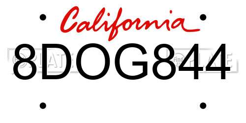 8DOG844 California License Plate