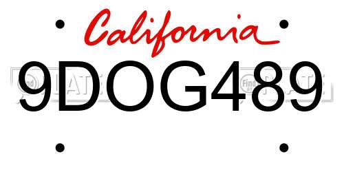 9DOG489 California License Plate