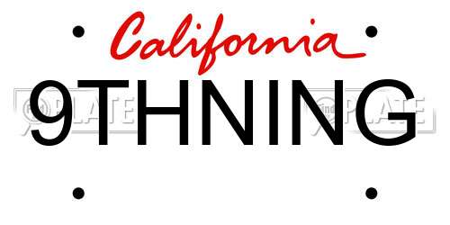 9THNING California License Plate