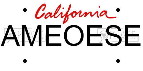 AMEOESE California License Plate