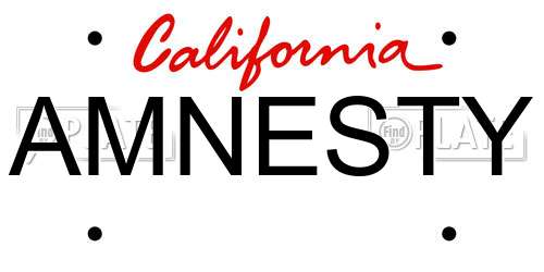 AMNESTY California License Plate