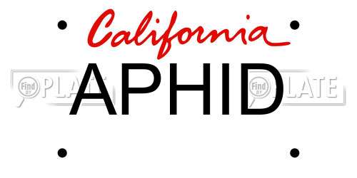 APHID California License Plate