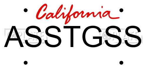 ASSTGSS California License Plate