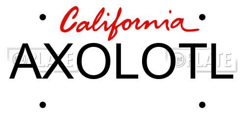 AXOLOTL California License Plate