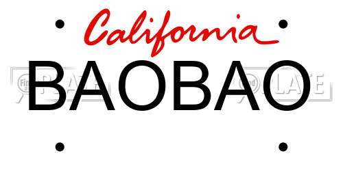 BAOBAO California License Plate