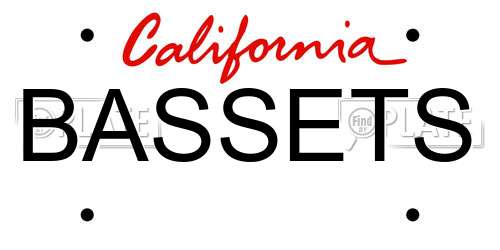 BASSETS California License Plate