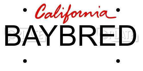 BAYBRED California License Plate