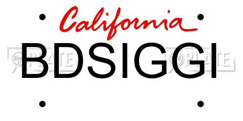 BDSIGGI California License Plate