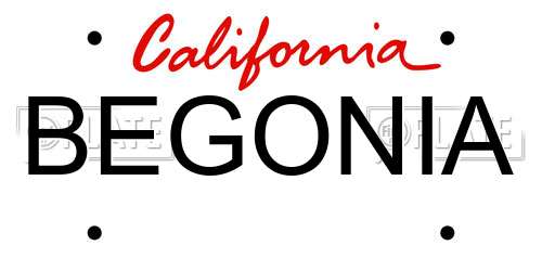 BEGONIA California License Plate