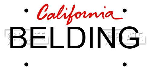 BELDING California License Plate