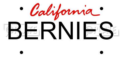 BERNIES California License Plate