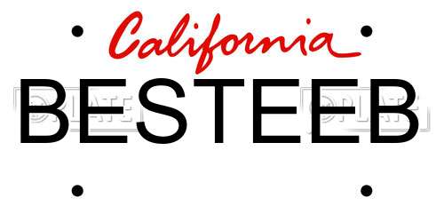 BESTEEB California License Plate