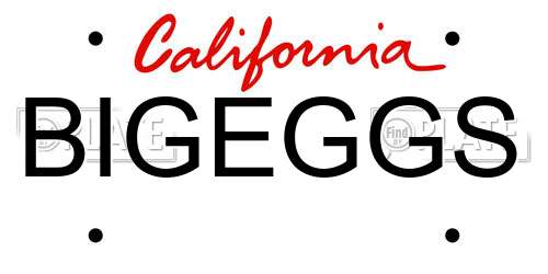 BIGEGGS California License Plate