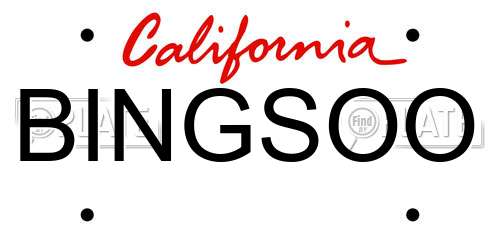 BINGSOO California License Plate