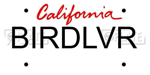 BIRDLVR California License Plate