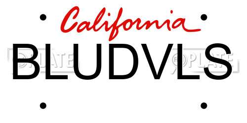 BLUDVLS California License Plate