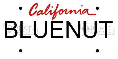 BLUENUT California License Plate