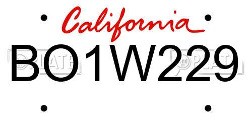 BO1W229 California License Plate