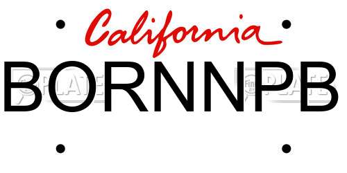 BORNNPB California License Plate