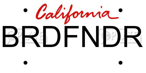 BRDFNDR California License Plate