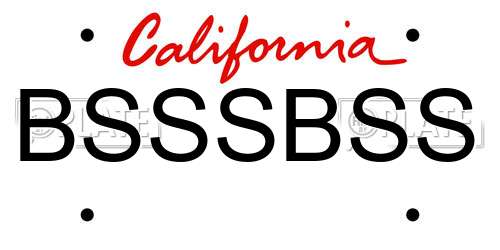 BSSSBSS California License Plate