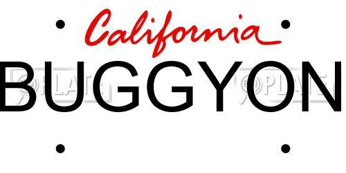 BUGGYON California License Plate